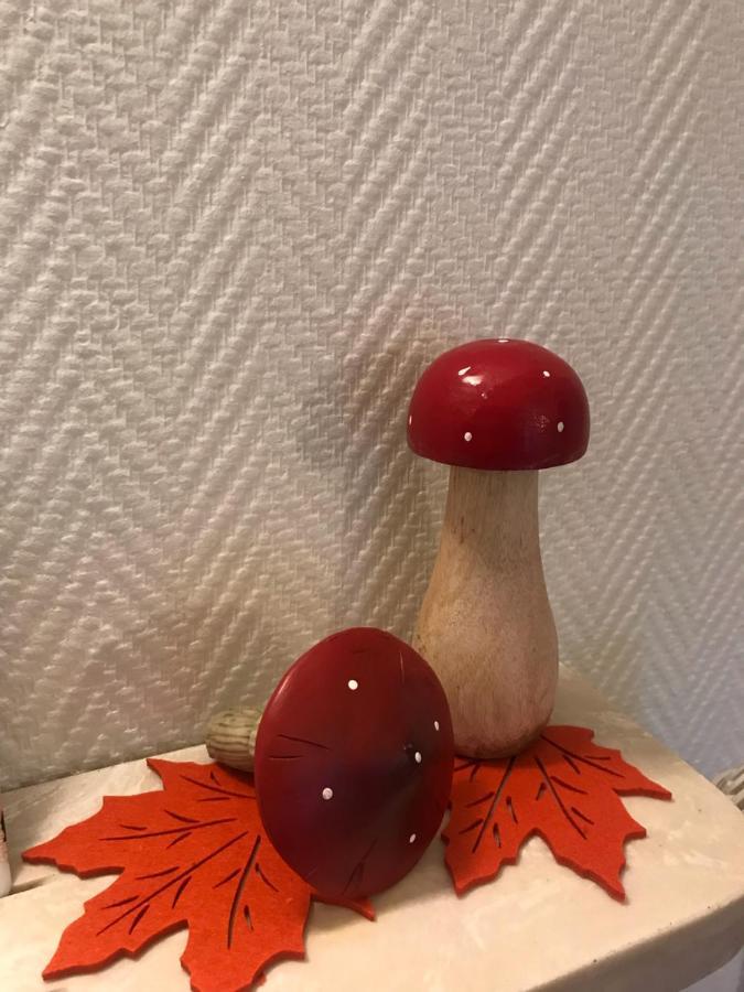 Appartement Chez Fabie Sélestat Kültér fotó