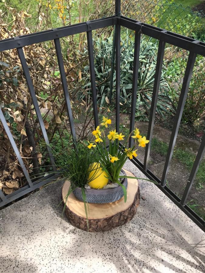 Appartement Chez Fabie Sélestat Kültér fotó