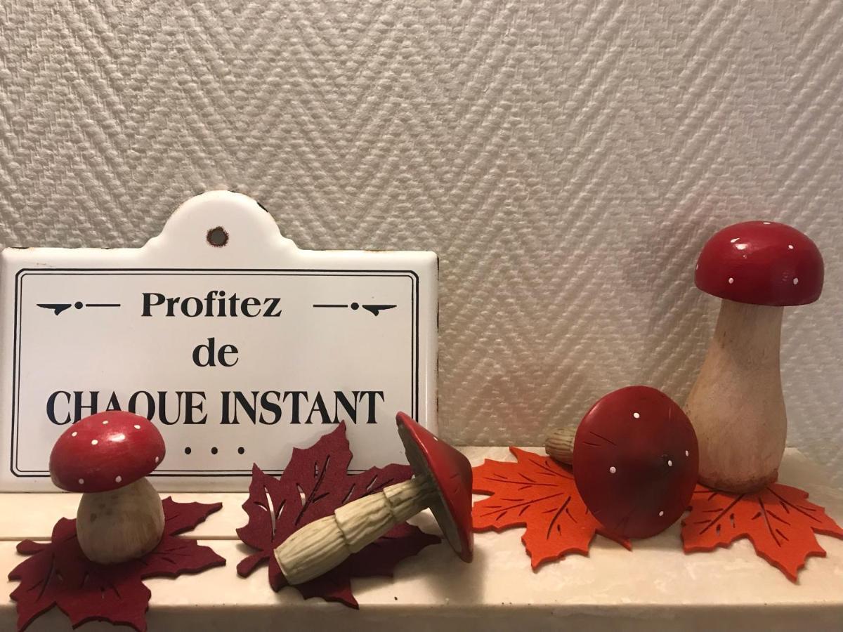 Appartement Chez Fabie Sélestat Kültér fotó