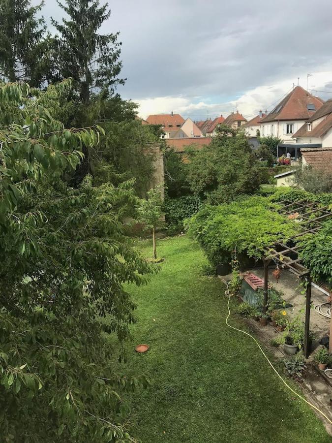 Appartement Chez Fabie Sélestat Kültér fotó